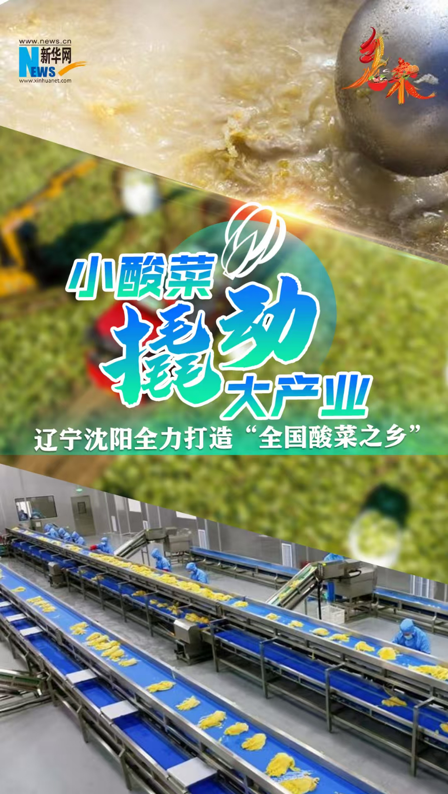 业 辽宁沈阳全力打造“全国酸菜之乡”-新华网PG麻将胡了免费模拟器乡味丨小酸菜撬动大产(图5)