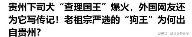 ”爆火！身价飙升至10万美元狗主人被扒PG电子麻将胡了2贵州下司犬“查理国王(图15)