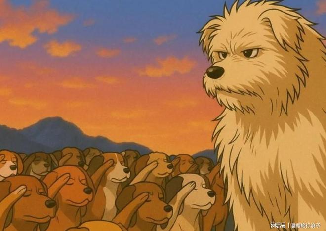 ”爆火！身价飙升至10万美元狗主人被扒PG电子麻将胡了2贵州下司犬“查理国王(图14)